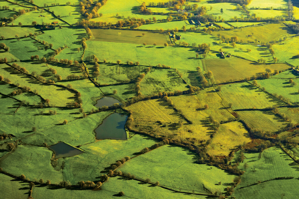 crédit : https://tourisme-bocage.fr/je-decouvre/le-bocage-nature.html